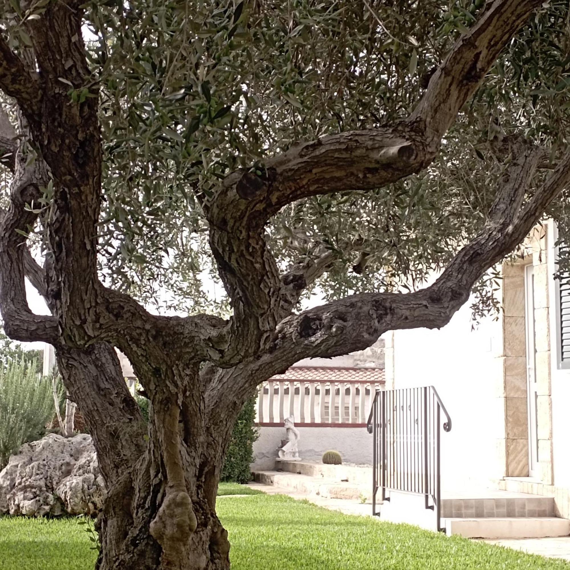 La Casetta Di Viale Paradiso Pachino Exterior foto